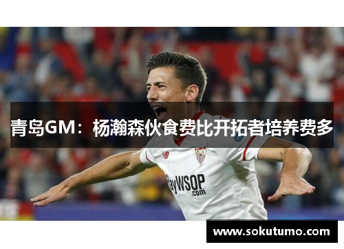 青岛GM：杨瀚森伙食费比开拓者培养费多